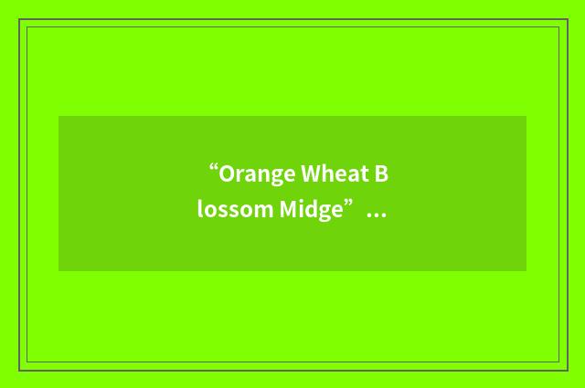 “Orange Wheat Blossom Midge”缩略