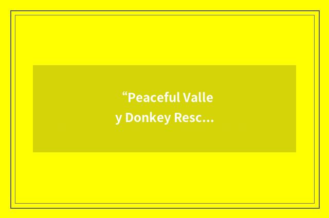 “Peaceful Valley Donkey Rescue”缩略