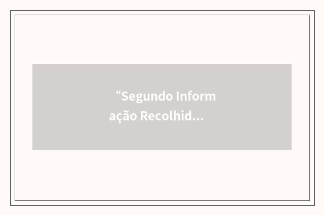 “Segundo Informação Recolhida”缩略
