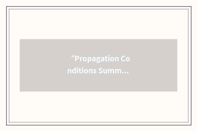 “Propagation Conditions Summary”缩略