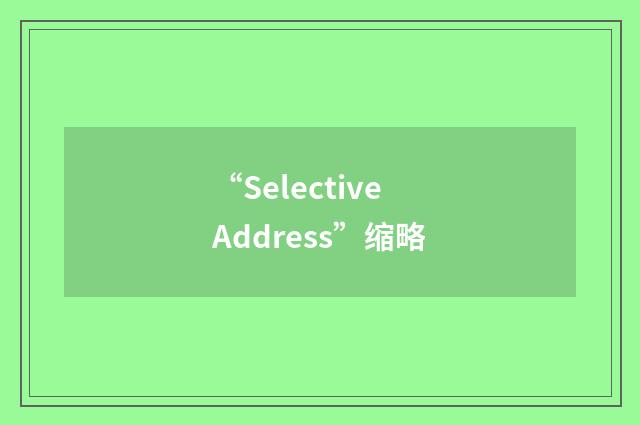 “Selective Address”缩略