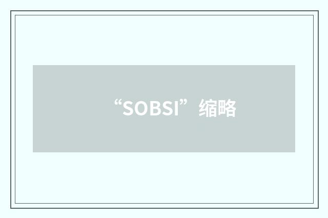 “SOBSI”缩略