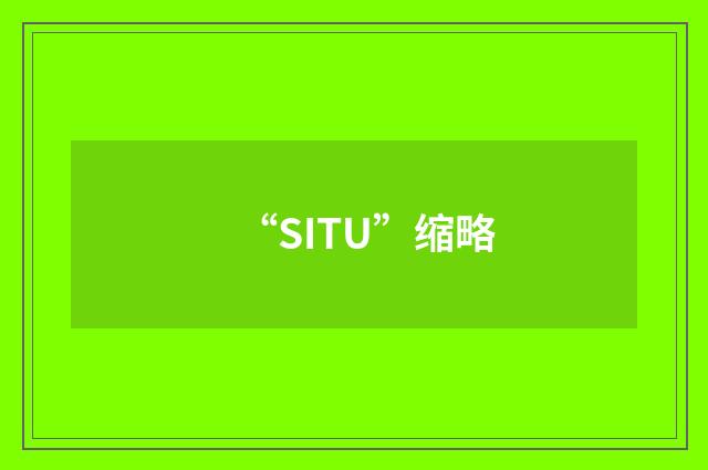“SITU”缩略
