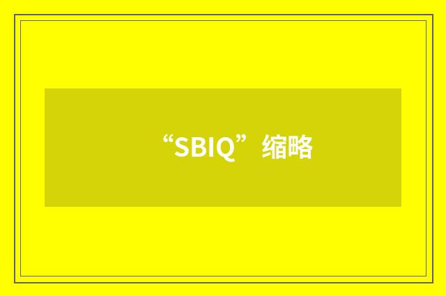 “SBIQ”缩略