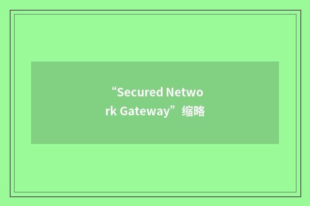 “Secured Network Gateway”缩略