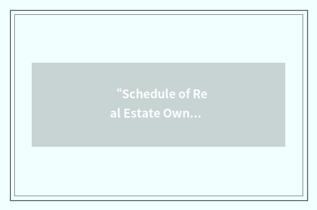 “Schedule of Real Estate Owned”缩略