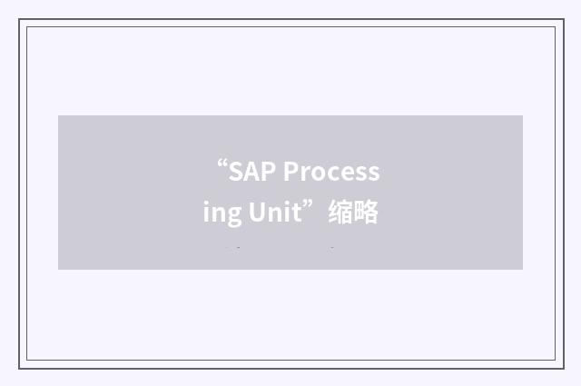 “SAP Processing Unit”缩略