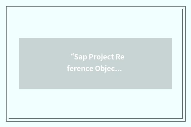 “Sap Project Reference Object”缩略
