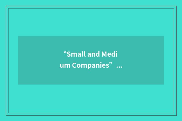 “Small and Medium Companies”缩略