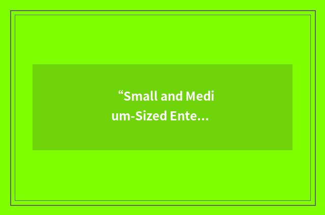 “Small and Medium-Sized Enterprise”缩略