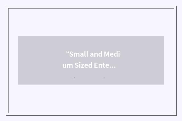 “Small and Medium Sized Enterprises”缩略