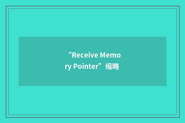“Receive Memory Pointer”缩略
