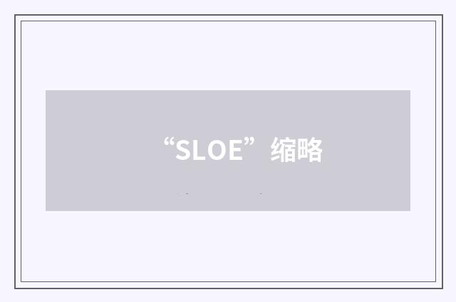 “SLOE”缩略