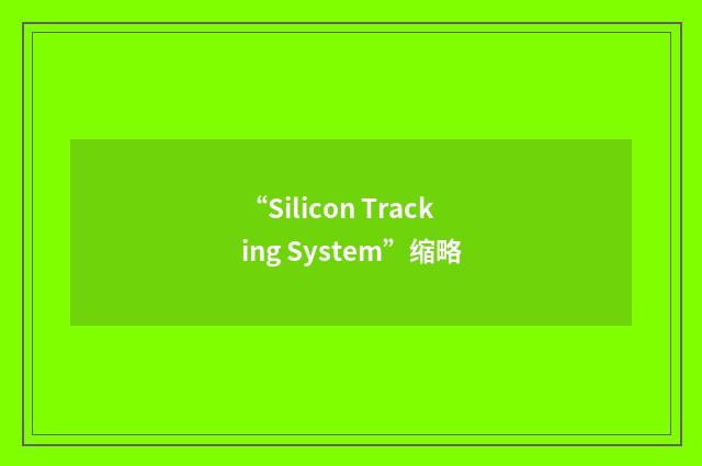 “Silicon Tracking System”缩略