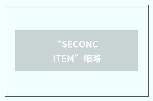 “SECONCITEM”缩略