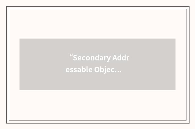 “Secondary Addressable Object Name”缩略