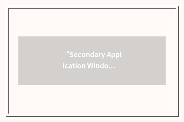 “Secondary Application Window”缩略