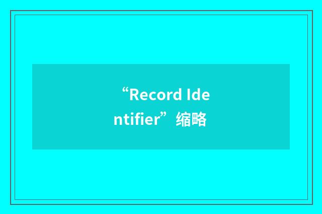 “Record Identifier”缩略