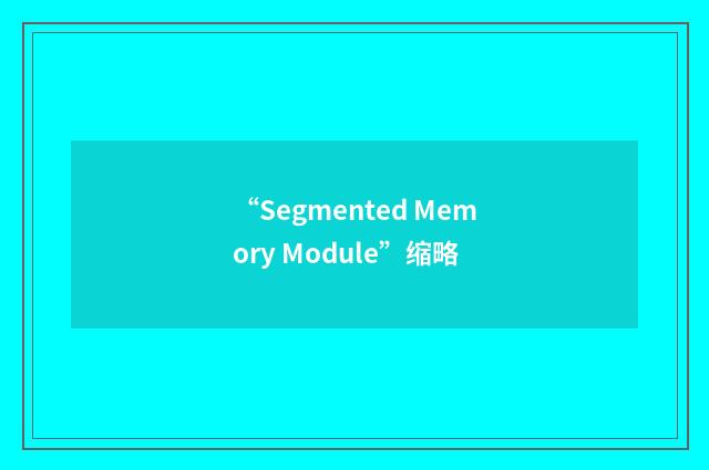 “Segmented Memory Module”缩略