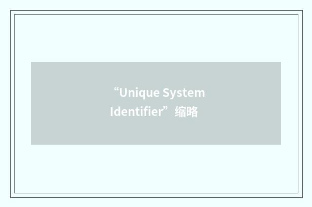 “Unique System Identifier”缩略