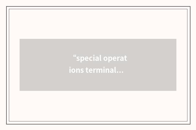 “special operations terminal attack controller”缩略