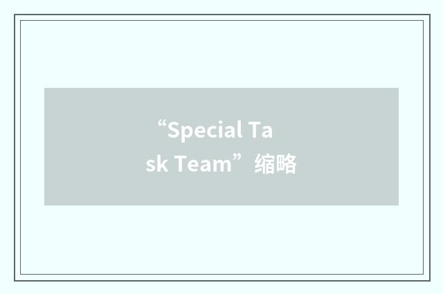 “Special Task Team”缩略