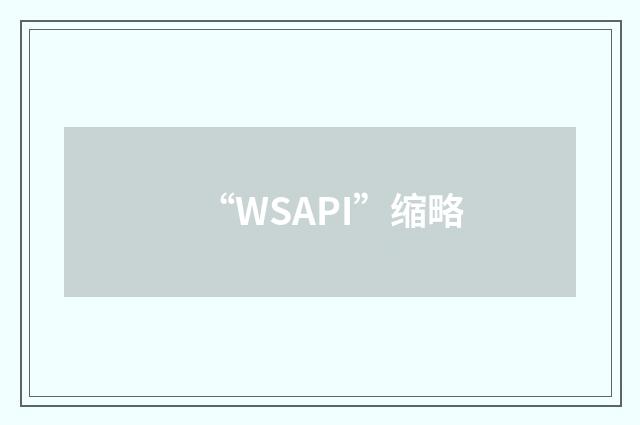 “WSAPI”缩略