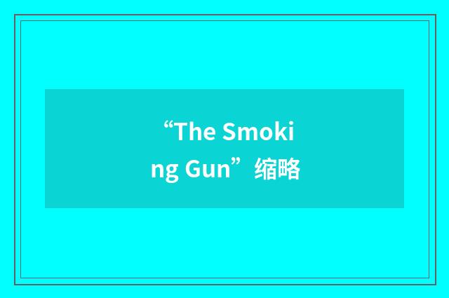 “The Smoking Gun”缩略