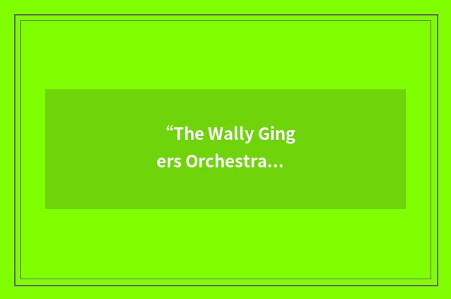 “The Wally Gingers Orchestra”缩略