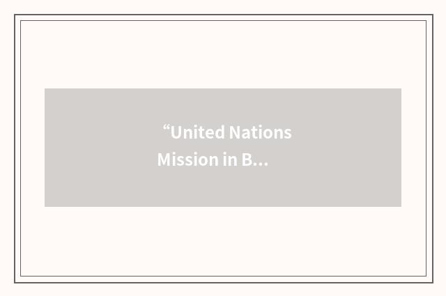 “United Nations Mission in Bosnia and Herzegovina”缩略