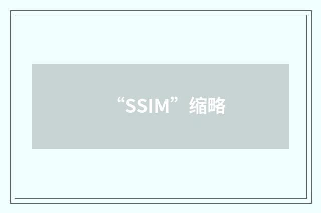 “SSIM”缩略