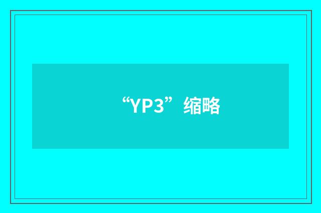 “YP3”缩略