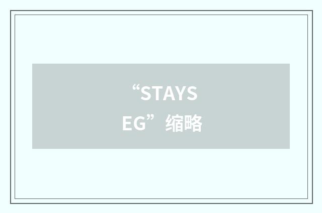 “STAYSEG”缩略