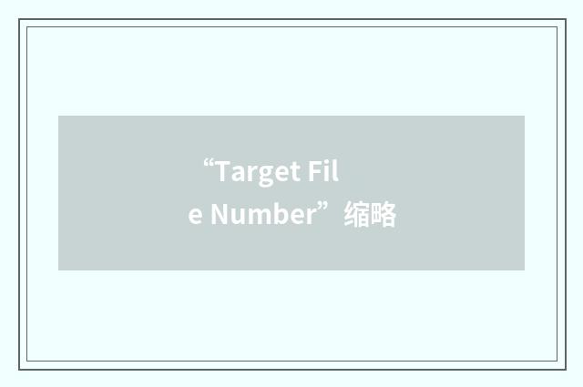 “Target File Number”缩略