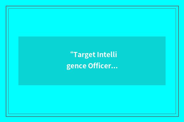 “Target Intelligence Officer”缩略