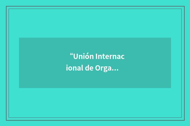 “Unión Internacional de Organismos Familiares”缩略