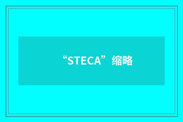 “STECA”缩略