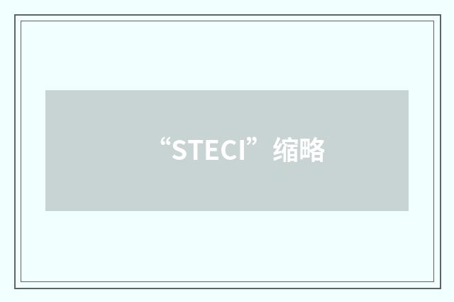 “STECI”缩略
