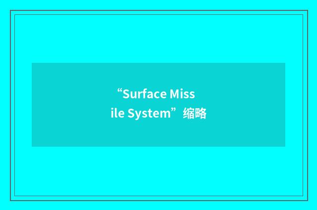“Surface Missile System”缩略