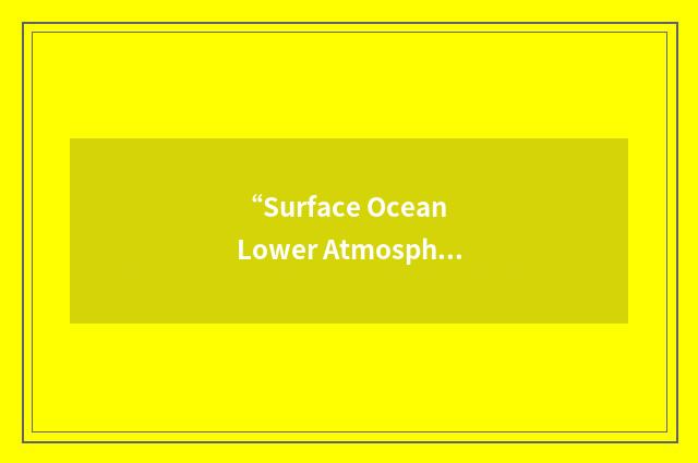 “Surface Ocean Lower Atmosphere Study”缩略