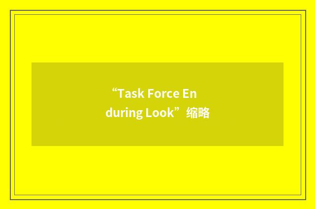 “Task Force Enduring Look”缩略