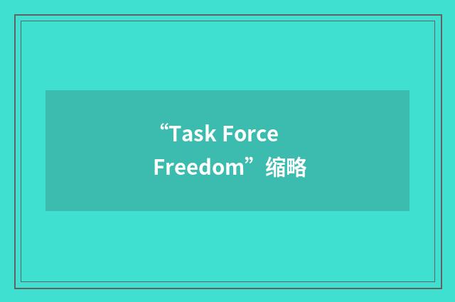 “Task Force Freedom”缩略