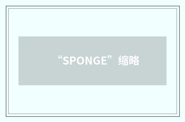 “SPONGE”缩略
