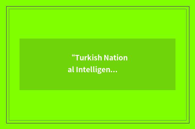 “Turkish National Intelligence Organization”缩略
