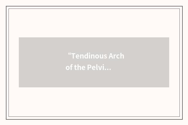 “Tendinous Arch of the Pelvic Fascia”缩略