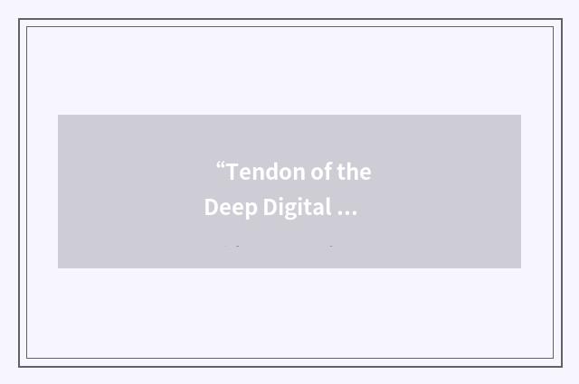 “Tendon of the Deep Digital Flexor”缩略