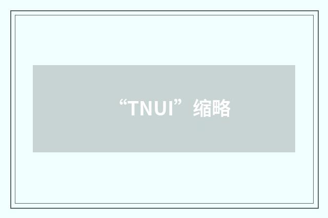 “TNUI”缩略
