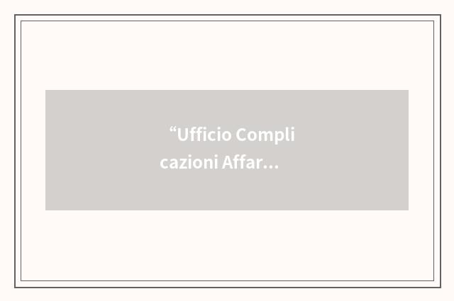 “Ufficio Complicazioni Affari Semplici”缩略