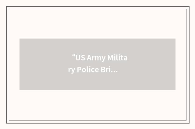 “US Army Military Police Brigade-Hawaii”缩略