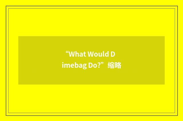 “What Would Dimebag Do?”缩略